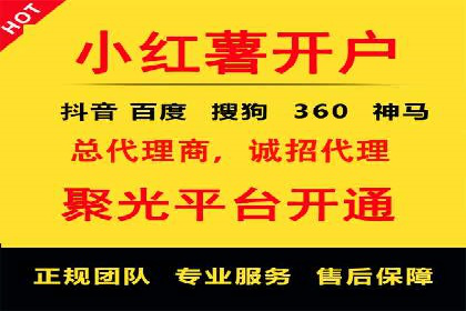 大型SEM服务公司案例分析